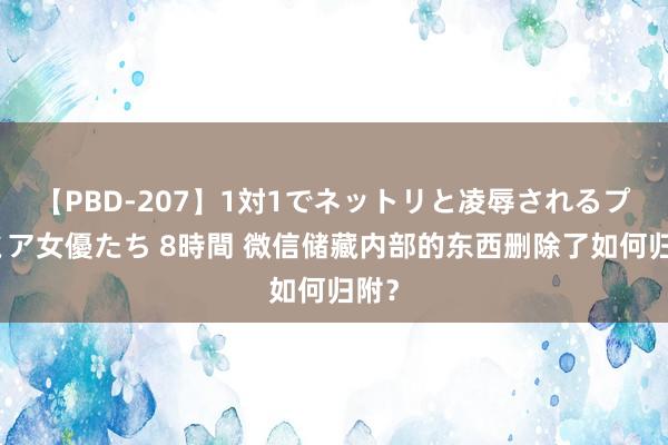 【PBD-207】1対1でネットリと凌辱されるプレミア女優たち 8時間 微信储藏内部的东西删除了如何归附？