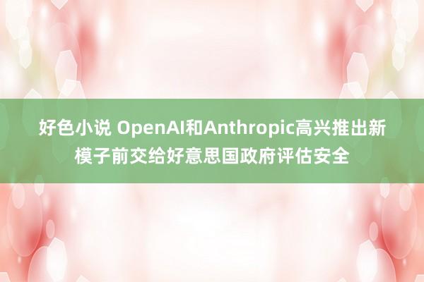 好色小说 OpenAI和Anthropic高兴推出新模子前交给好意思国政府评估安全