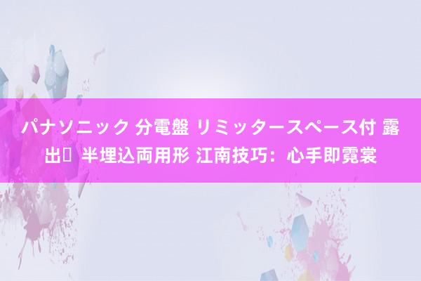 パナソニック 分電盤 リミッタースペース付 露出・半埋込両用形 江南技巧：心手即霓裳