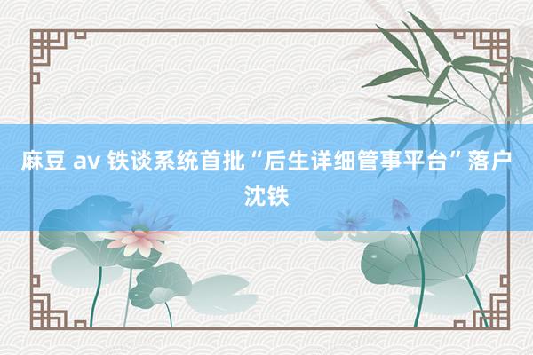 麻豆 av 铁谈系统首批“后生详细管事平台”落户沈铁