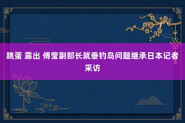 跳蛋 露出 傅莹副部长就垂钓岛问题继承日本记者采访