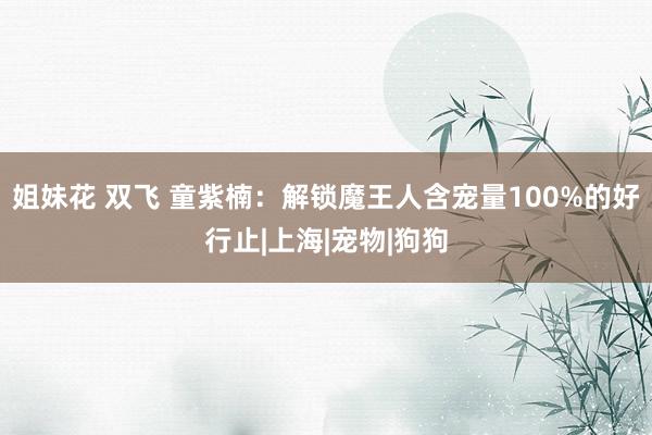 姐妹花 双飞 童紫楠：解锁魔王人含宠量100%的好行止|上海|宠物|狗狗