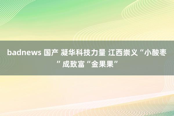 badnews 国产 凝华科技力量 江西崇义“小酸枣”成致富“金果果”