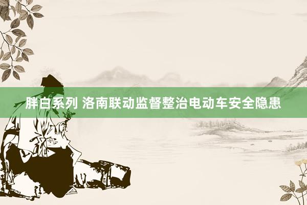 胖白系列 洛南联动监督整治电动车安全隐患