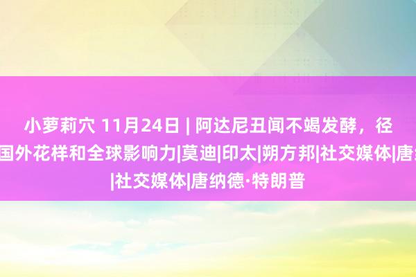 小萝莉穴 11月24日 | 阿达尼丑闻不竭发酵，径直冲击印度国外花样和全球影响力|莫迪|印太|朔方邦|社交媒体|唐纳德·特朗普