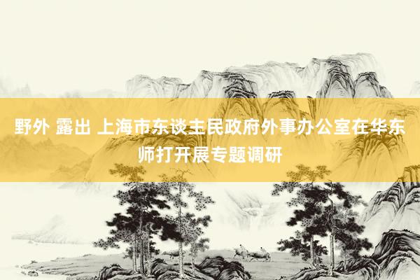 野外 露出 上海市东谈主民政府外事办公室在华东师打开展专题调研