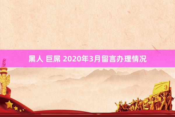 黑人 巨屌 2020年3月留言办理情况