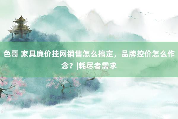 色哥 家具廉价挂网销售怎么搞定，品牌控价怎么作念？|耗尽者需求