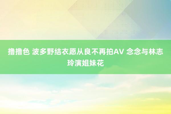 撸撸色 波多野结衣愿从良不再拍AV 念念与林志玲演姐妹花